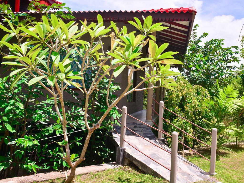 Mass Eco Cabana Yoga&Spa - Unawatuna Bagian luar foto