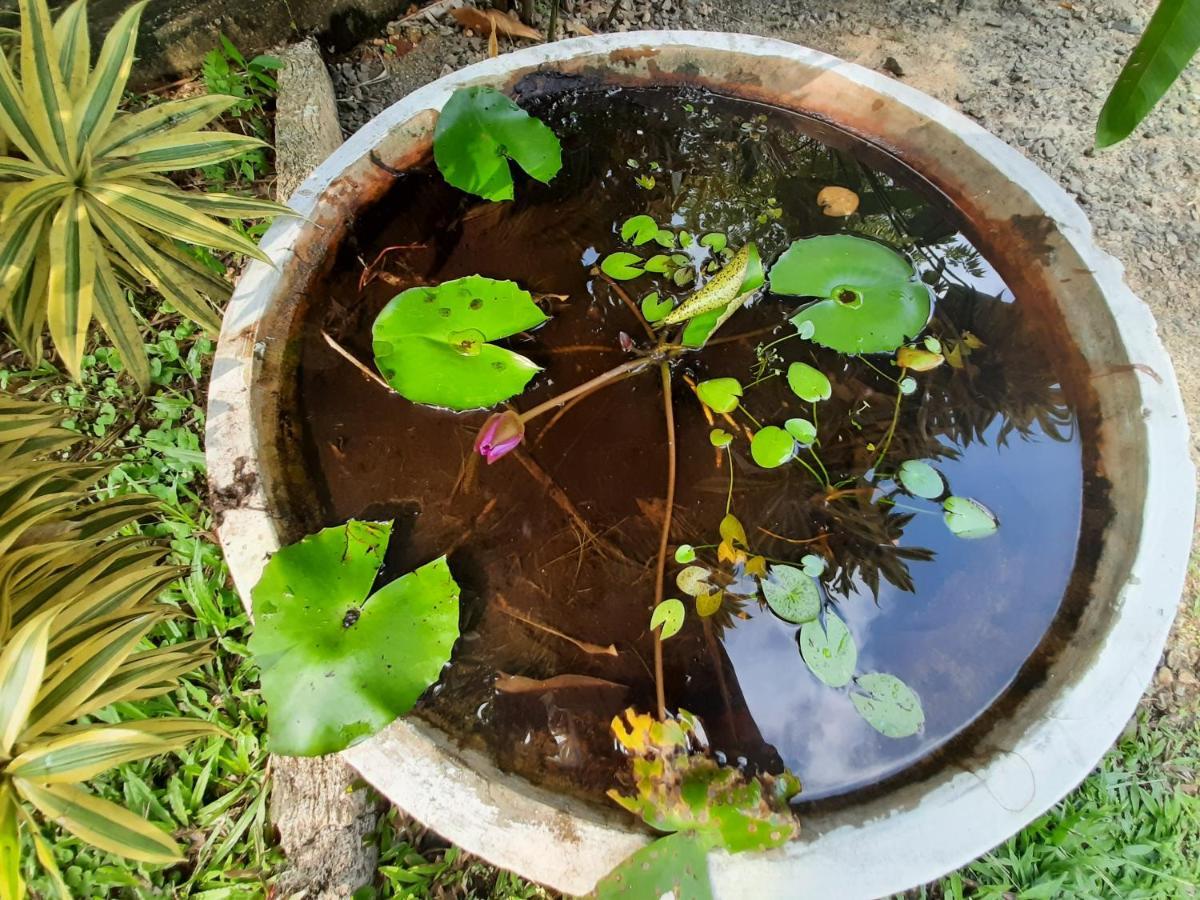 Mass Eco Cabana Yoga&Spa - Unawatuna Bagian luar foto
