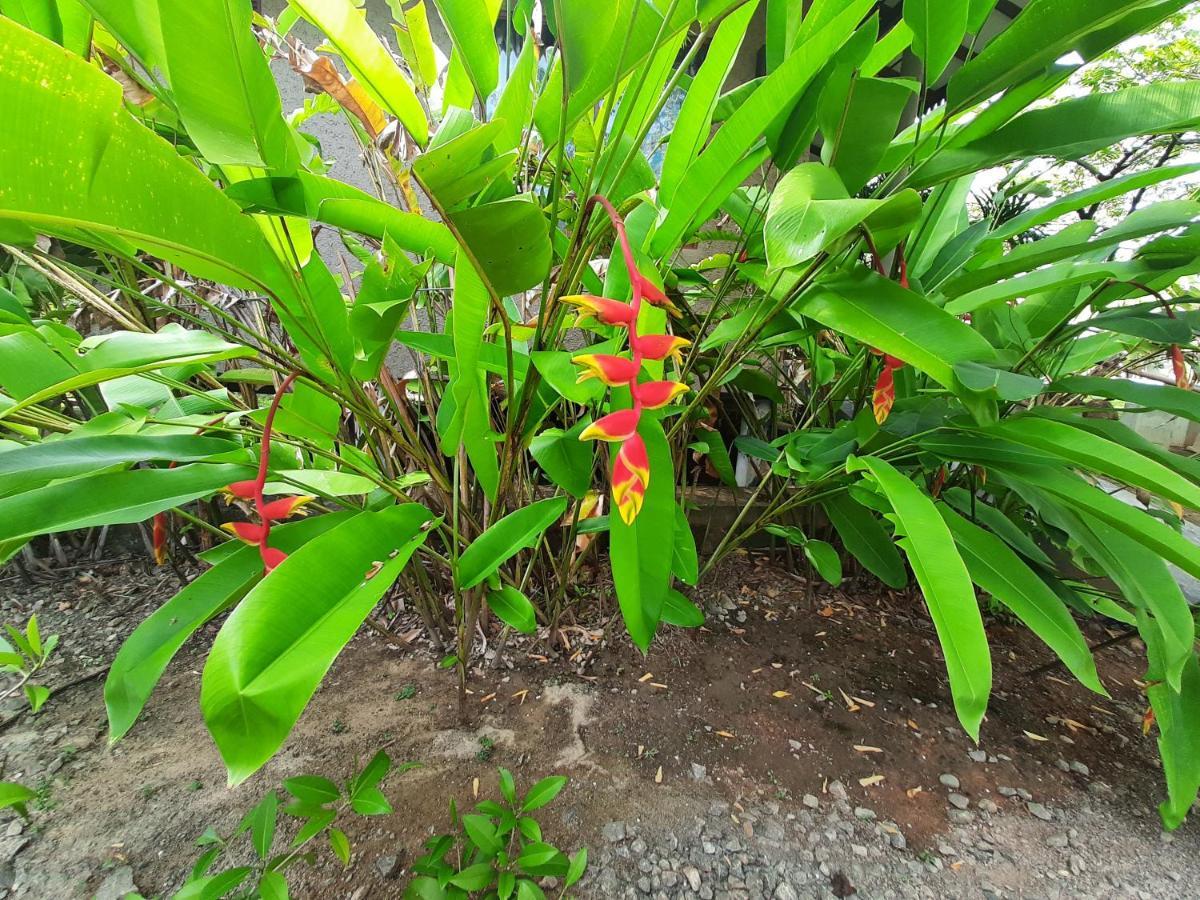 Mass Eco Cabana Yoga&Spa - Unawatuna Bagian luar foto